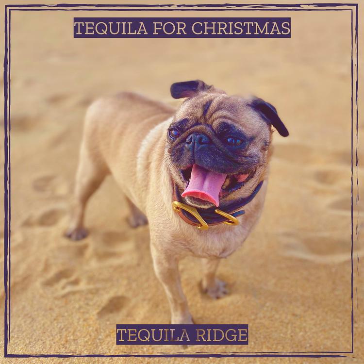 Tequila Ridge's avatar image