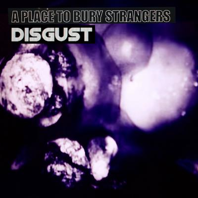 Disgust By A Place to Bury Strangers's cover