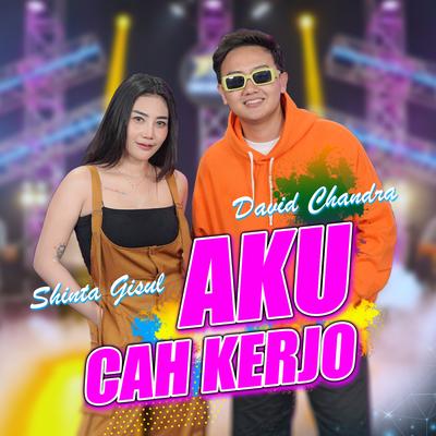 Aku Cah Kerjo (Koplo Version)'s cover