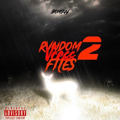 RVNDOM VCESS FILES 2's cover