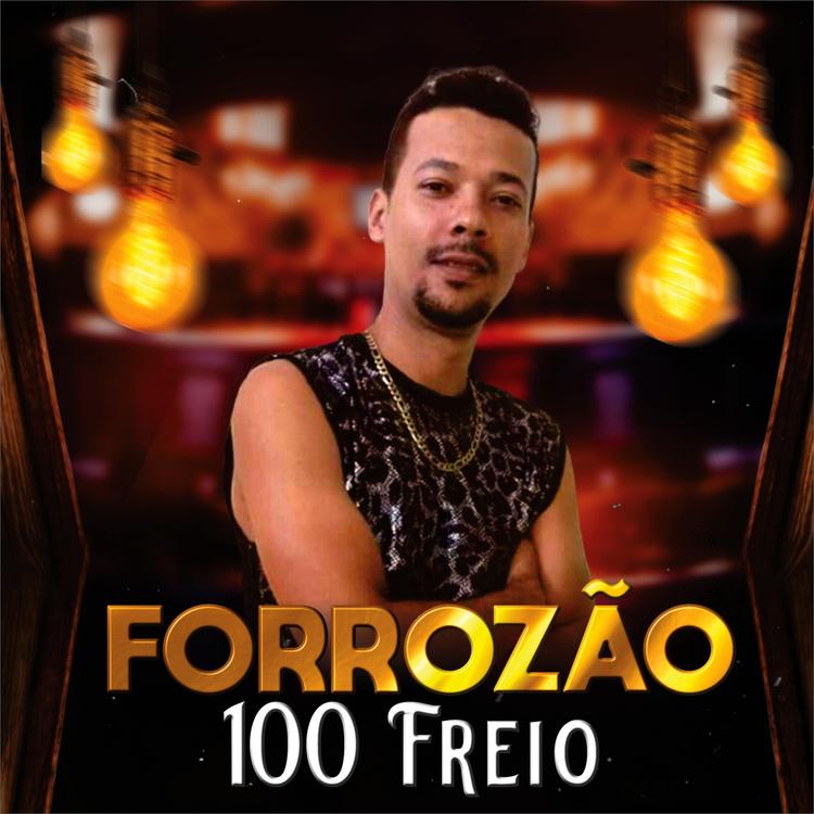 FORROZÃO 100 FREIO's avatar image