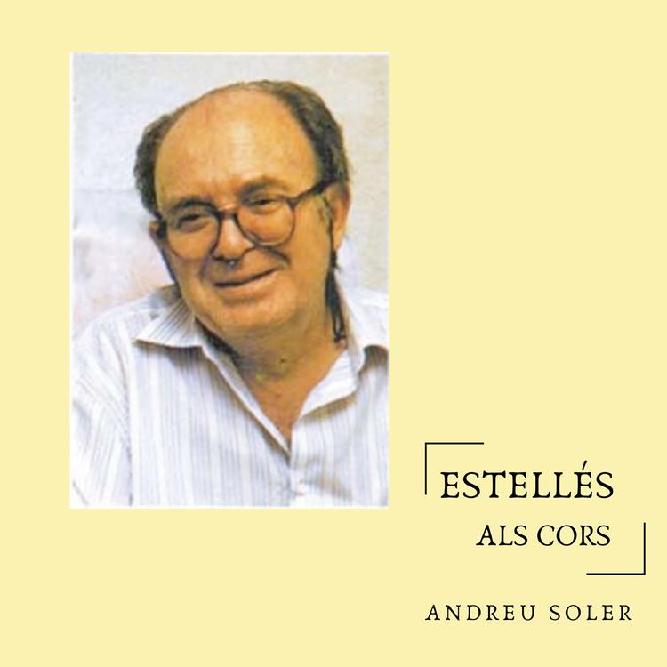 Andreu Soler's avatar image