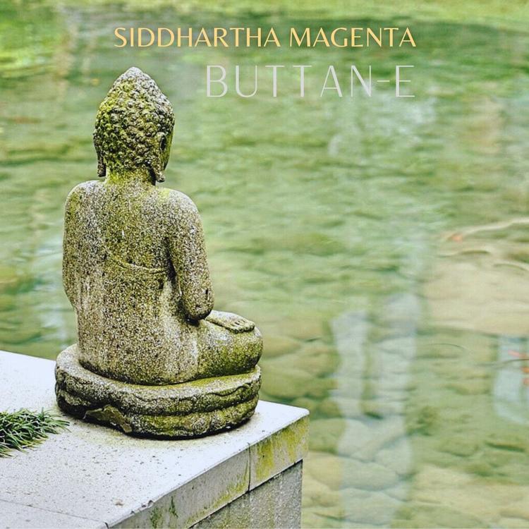 Siddartha Magenta's avatar image