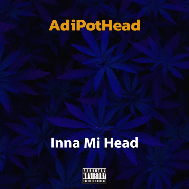 AdiPotHead's avatar image