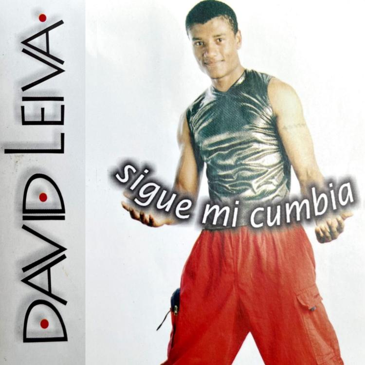 David Leiva's avatar image