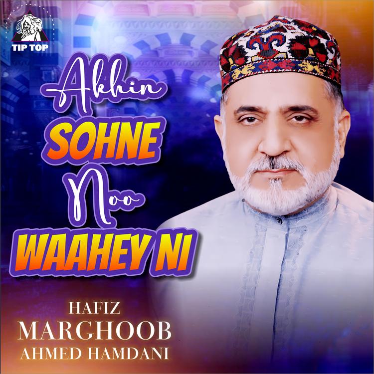Hafiz Marghoob Ahmed Hamdani's avatar image