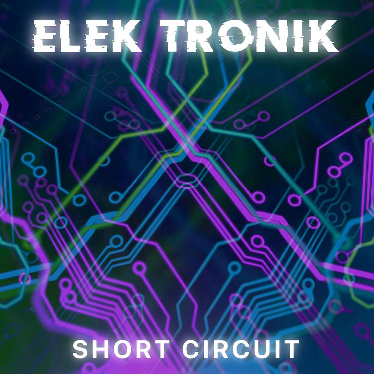 Elek Tronik's avatar image