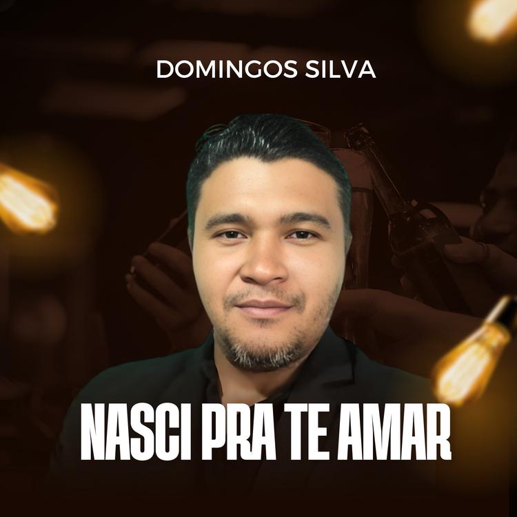 Domingos Silva's avatar image