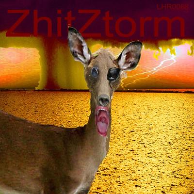 ZhitZtorm's cover