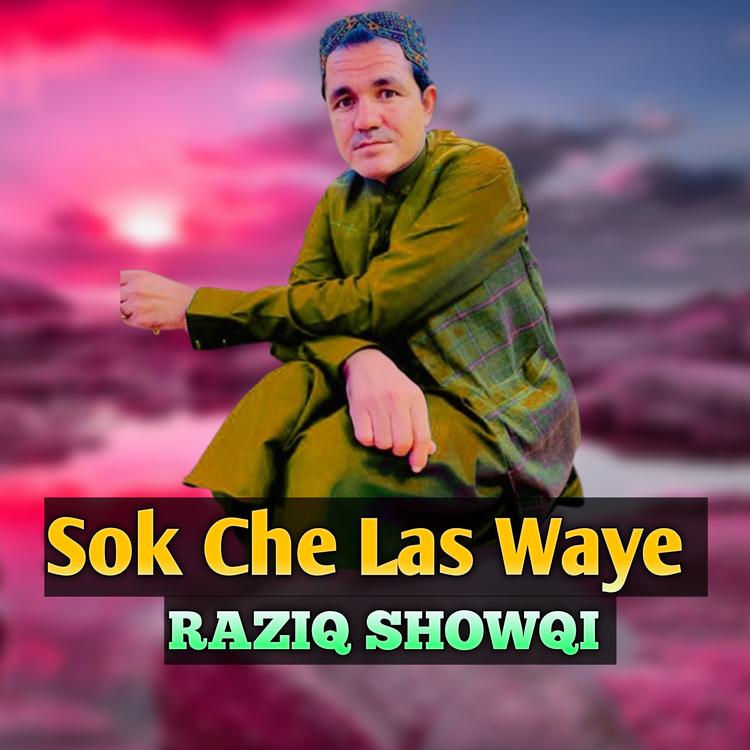 Raziq Showqi's avatar image