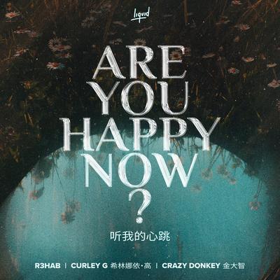 Are You Happy Now By R3HAB, Curley G, Crazy Donkey's cover