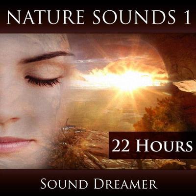 Whale Sounds (2 Hours) By Sound Dreamer's cover