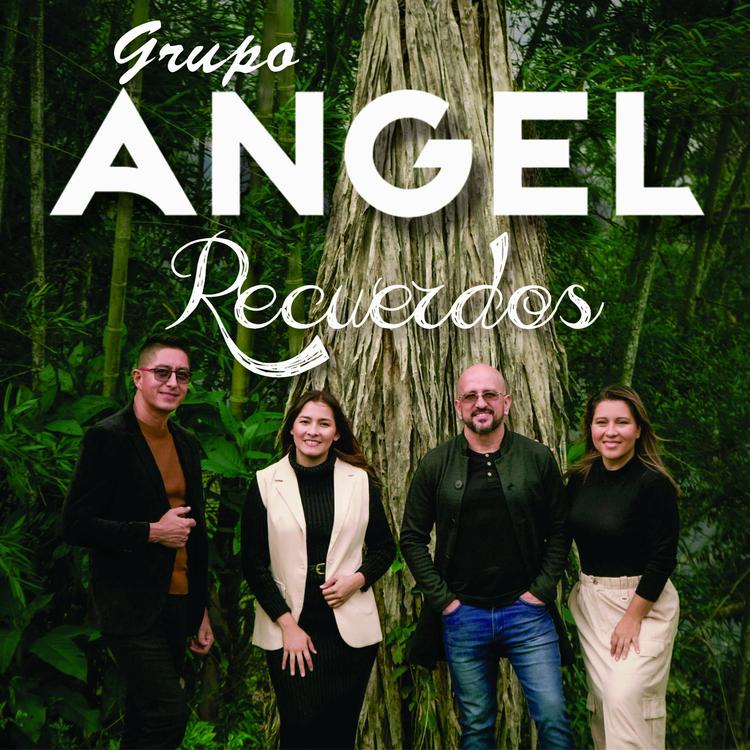 Grupo Angel's avatar image