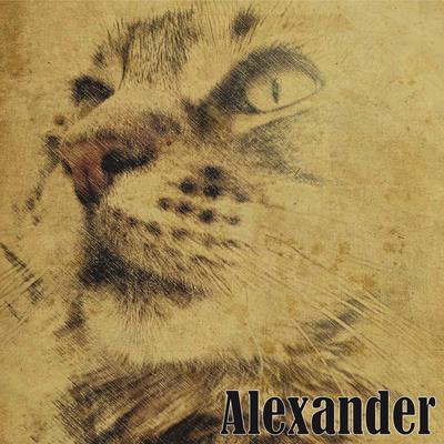 Alexander By Bernardt James's cover