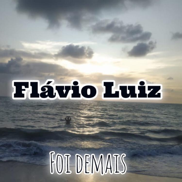 Flávio Luiz's avatar image