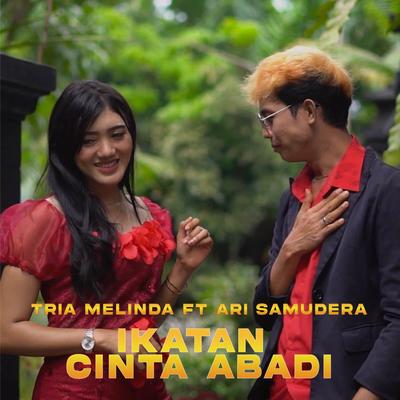 Ikatan Cinta Abadi By Tria Melinda, Ari Samudra's cover