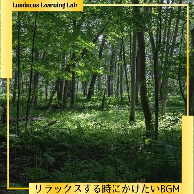Luminous Learning Lab's cover