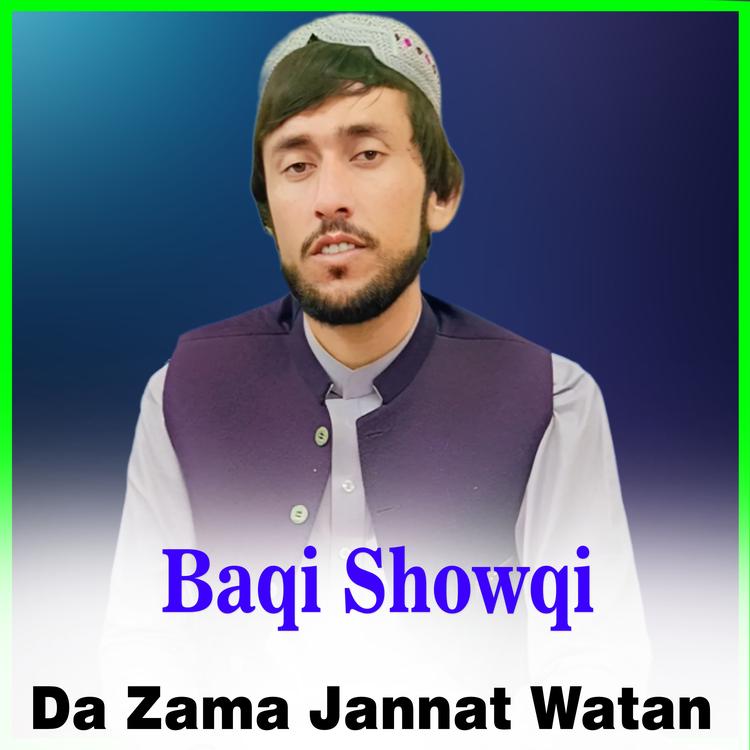 Baqi Showqi's avatar image