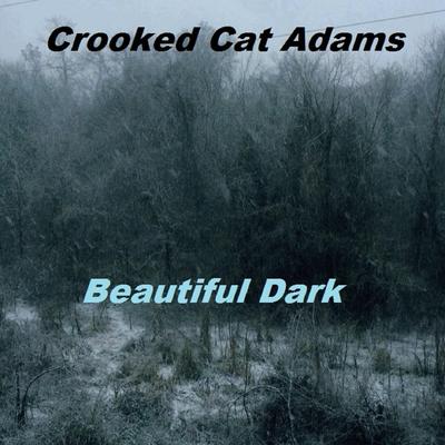 Beautiful Dark's cover