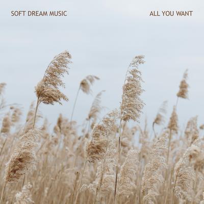 Soft Dream Music's cover
