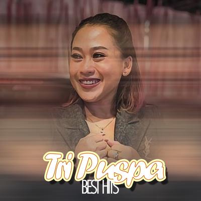 Best Hits Tri Puspa's cover