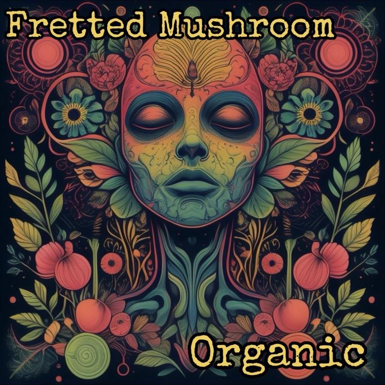 Fretted Mushroom's avatar image