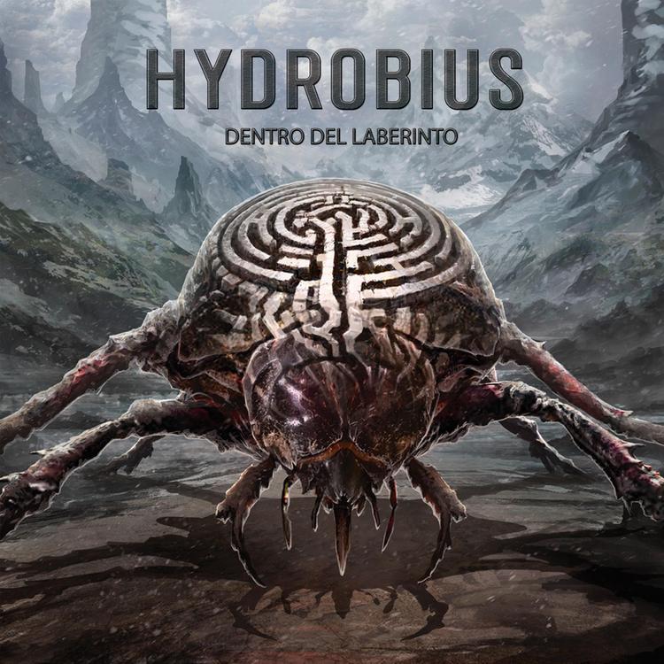 Hydrobius's avatar image