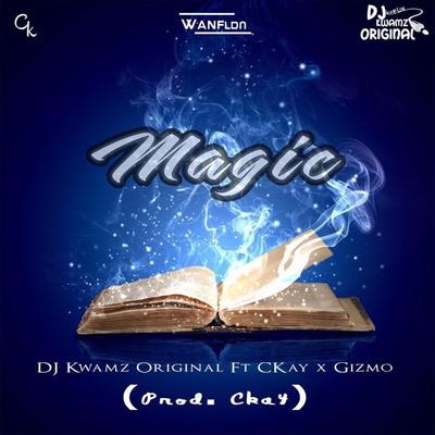 Magic's cover