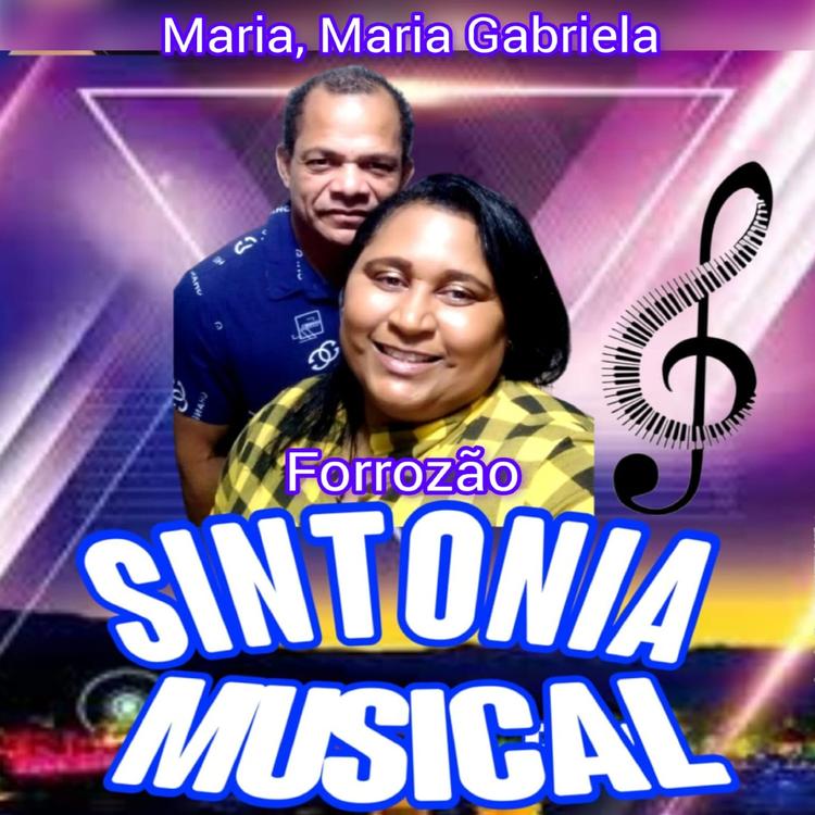 Forrozão Sintonia Musical's avatar image