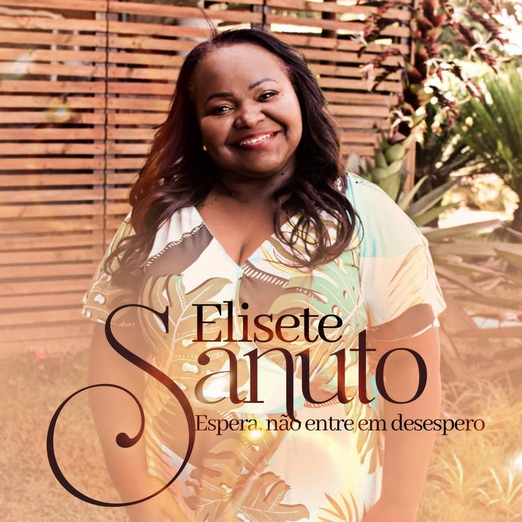 Elisete Sanuto's avatar image