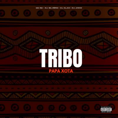 Tribo Papa Xota (feat. DJ Silvério) (feat. DJ Silvério) By DJ Alan, Mc RD, DJ Jhow, DJ Silvério's cover