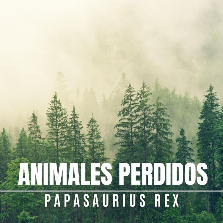 PAPASAURIUS REX's avatar image