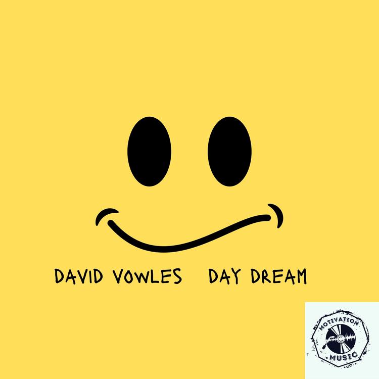 David Vowles's avatar image