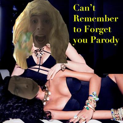 Cant Remember to Forget You Parody's cover