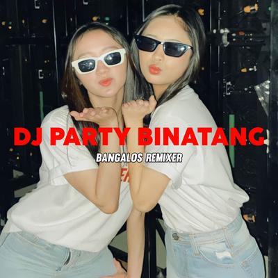 Dj Party Binatang's cover