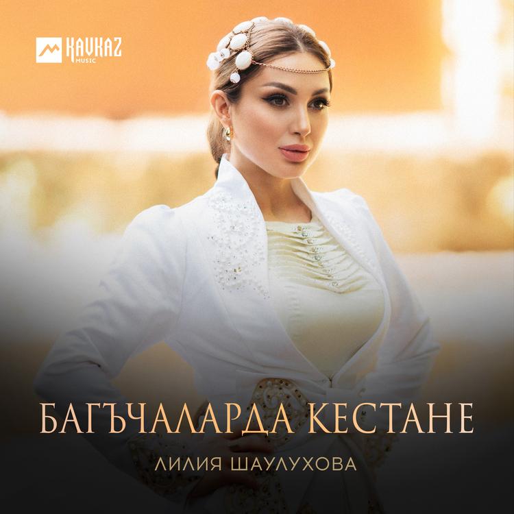 Лилия Шаулухова's avatar image