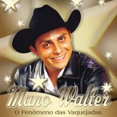 Nuvem passageira By Mano Valter's cover