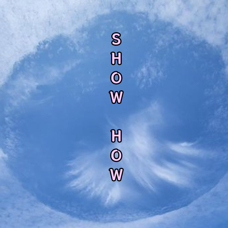 ShowHow's avatar image