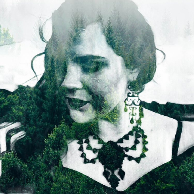 Diana May's avatar image