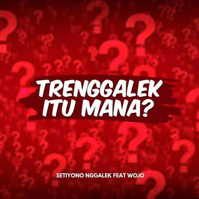 Trenggalek itu mana?'s cover