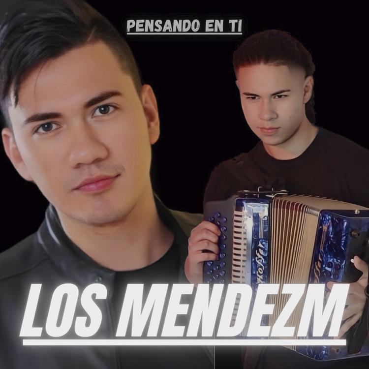 LOS MENDEZ M's avatar image