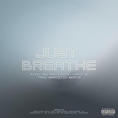 Letter to a girl(Just Breathe)'s cover
