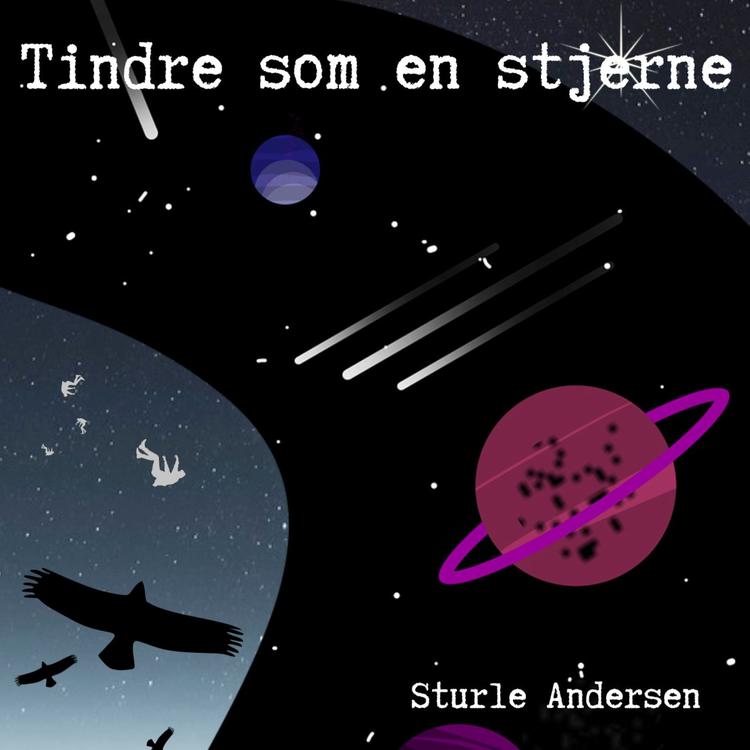 Sturle Andersen's avatar image