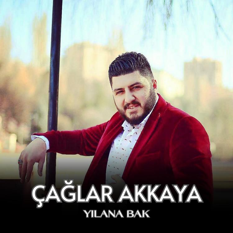Çağlar Akkaya's avatar image