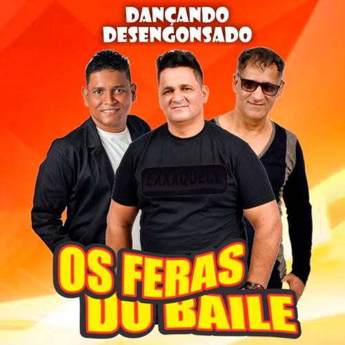 Os Feras do Baile's cover