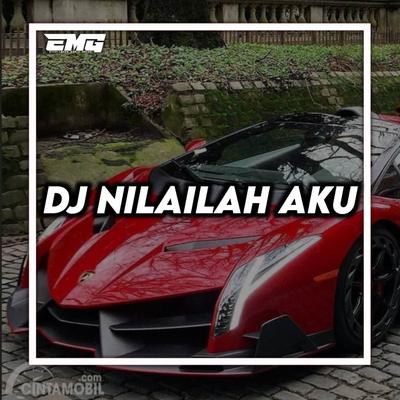 DJ NILAILAH AKU INS's cover