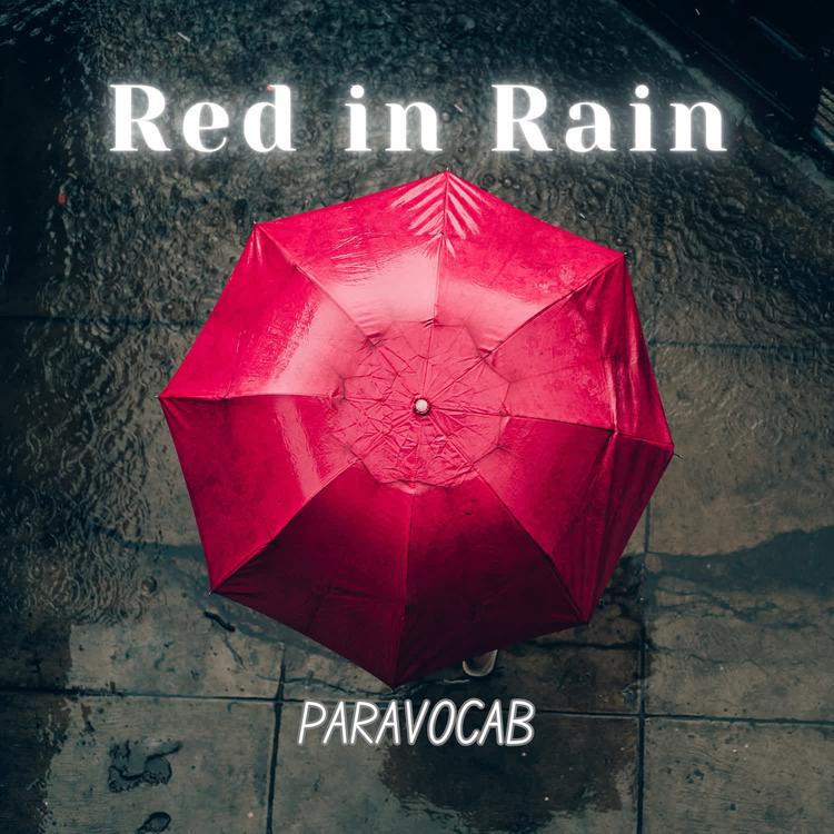 PARAVOCAB's avatar image