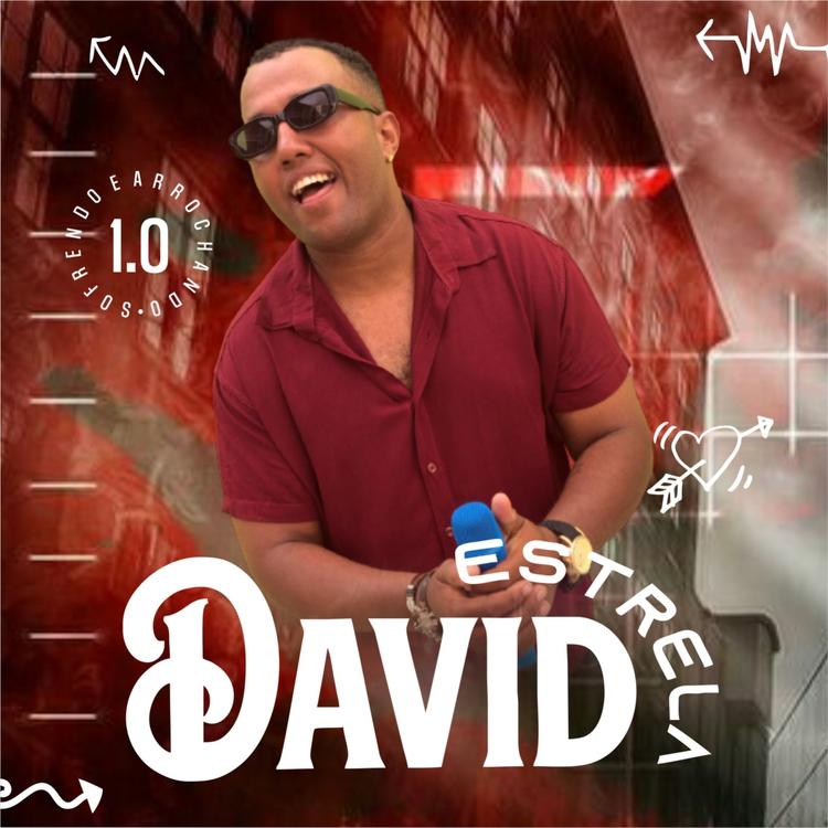 DAVID ESTRELA's avatar image