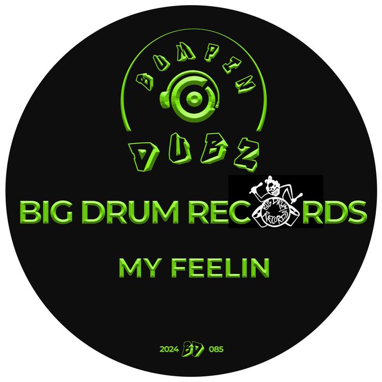 Big Drum Records's avatar image