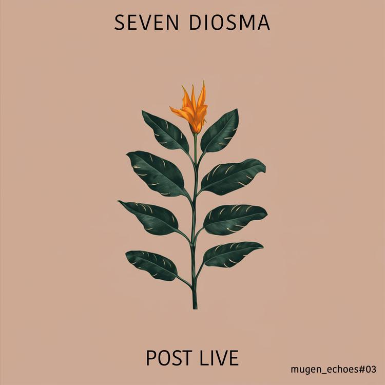 Seven Diosma's avatar image